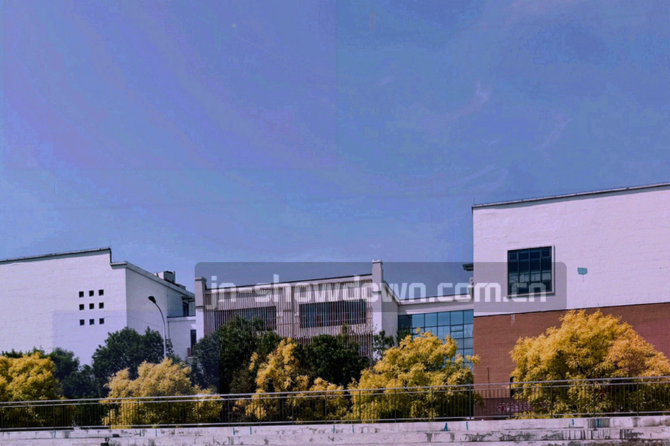 深墨蓝底上的纵向赛程时间轴与荧光绿节点抽象数据图形